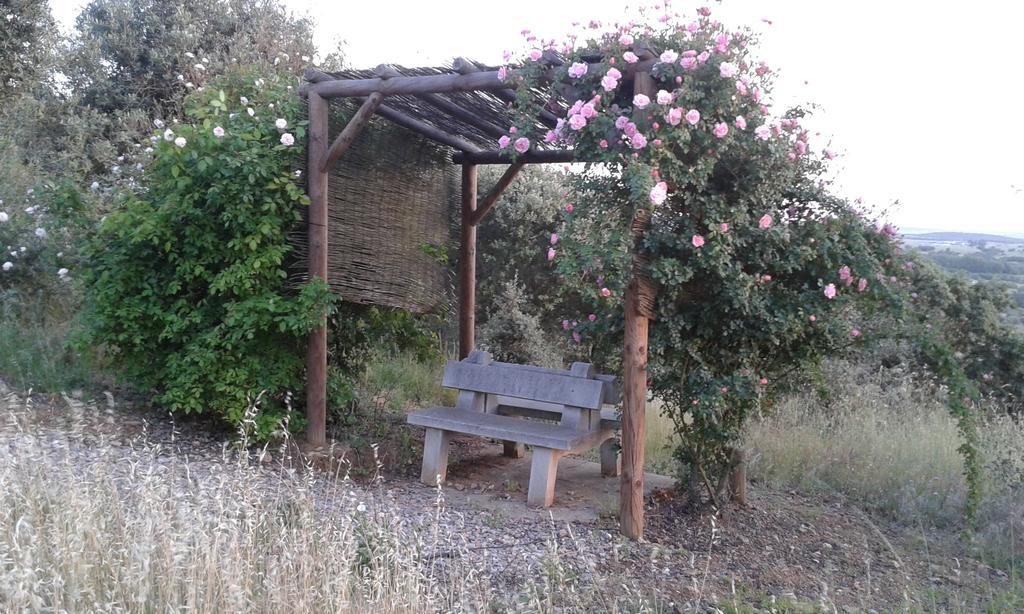 Holiday Home Monte Das Azinheiras アライオロス 部屋 写真